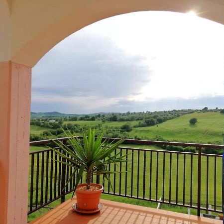 Agriturismo Podere Verdicchio Scansano Zewnętrze zdjęcie