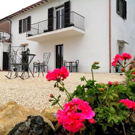 Agriturismo Podere Verdicchio Scansano Zewnętrze zdjęcie