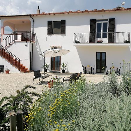 Agriturismo Podere Verdicchio Scansano Zewnętrze zdjęcie