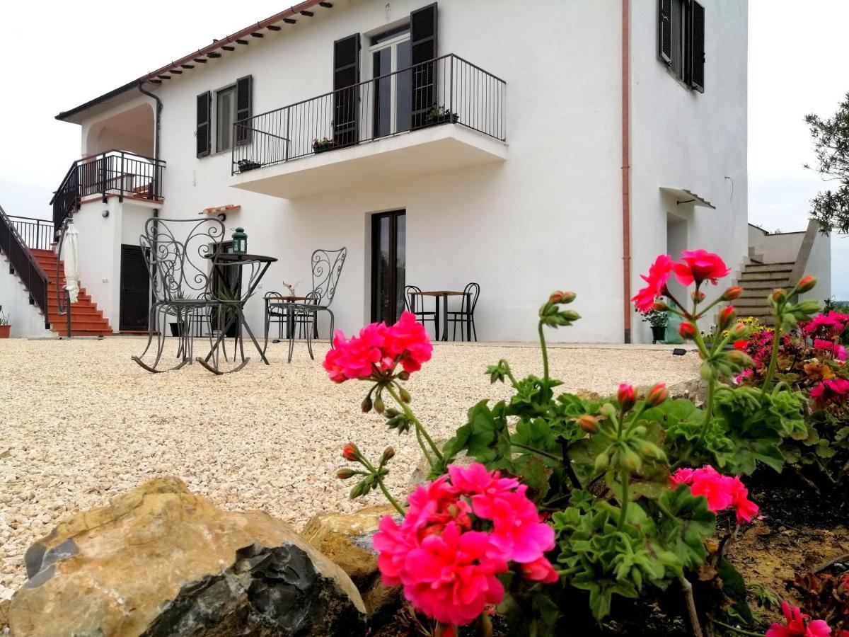 Agriturismo Podere Verdicchio Scansano Zewnętrze zdjęcie