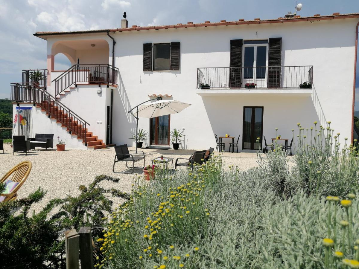 Agriturismo Podere Verdicchio Scansano Zewnętrze zdjęcie