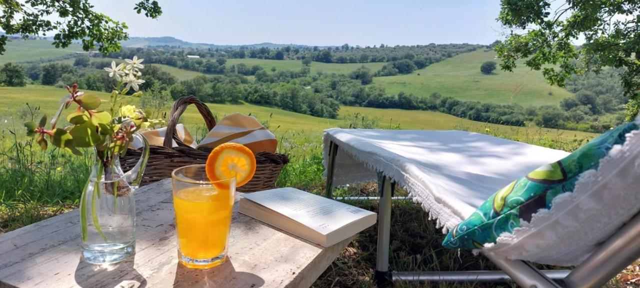 Agriturismo Podere Verdicchio Scansano Zewnętrze zdjęcie