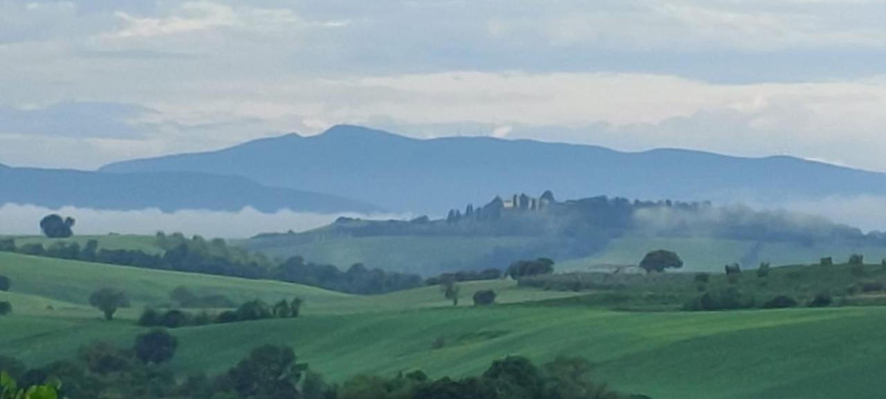 Agriturismo Podere Verdicchio Scansano Zewnętrze zdjęcie